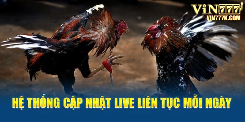 Hệ thống cập nhật live liên tục mỗi ngày 