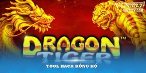 tool hack rồng hổ